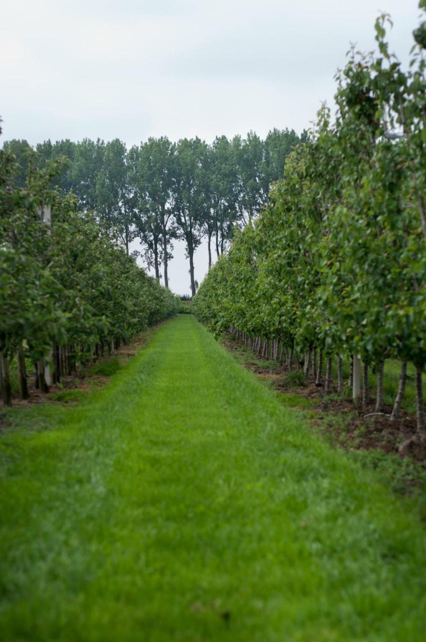 Hoeve Oude Tol Zuidzande Exterior foto